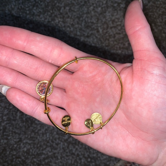 Alex and Ani light amethyst June birthstone charm bracelet - Picture 3 of 5